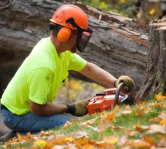 tree services Thornport